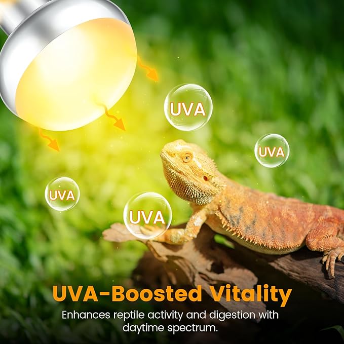 Dual Reptile Lamp Fixture with 100W Daytime Heat & 100W Nighttime Infrared Heat Bulbs, 2 Independent Switches, Reptile Heat Lamp Combo Pack - No UVB