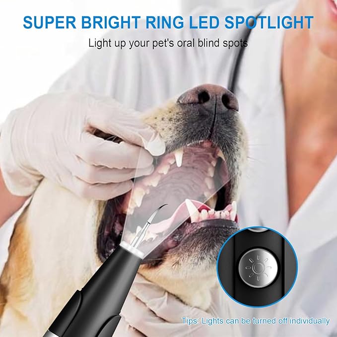 Plaque and Tartar Remover, Dog Ultrasonic Teeth Cleaner Toothbrush for Tartar and Stains with LED Light, 5 Modes Low Noise Sonic Tooth Cleaning Kit Tool for Dogs (Black)