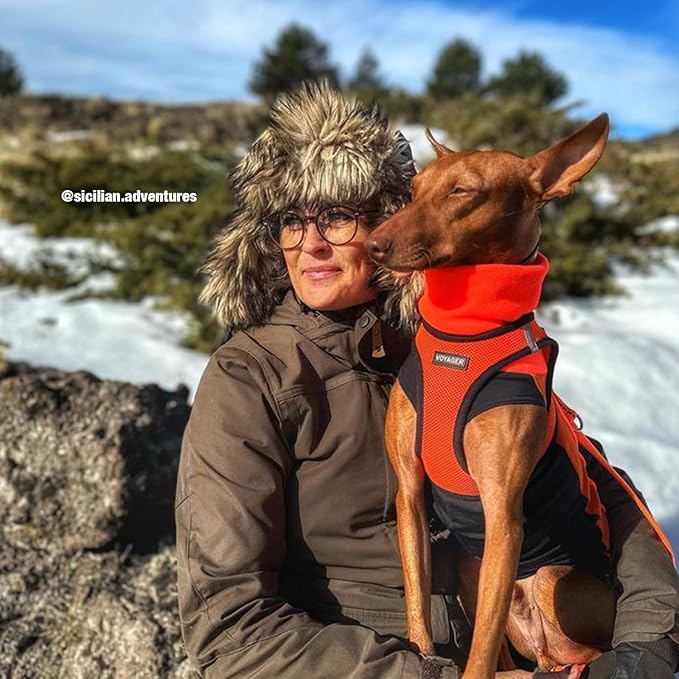 Best Pet Supplies - All Weather Mesh, Reflective, No Pull Harness for Small, Medium Dogs, Cats - Secure with Hook & Loop Fastener, Buckle, Double D-Rings - Orange/Black Trim, XS