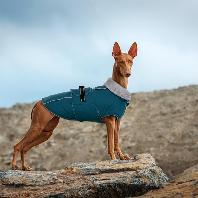 Lelepet Warm Dog Coat Reflective Fleece Vest Waterproof Dog Jacket with Adjustable Buckle Hook & Loop Windproof Cold Weather Coats for Small Medium Large Dogs, Dark Green, XXXL