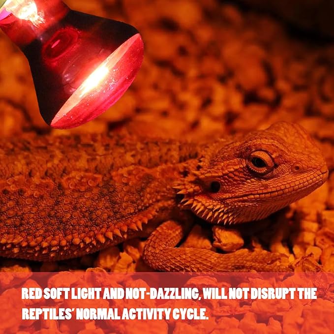 Reptile Heat Lamp Bulb 75 Watt, Infrared Red Heat Light Bulb Basking Spot Lamp for Bearded Dragon, Reptiles Amphibian, Chickens Coop, Lizard, Turtle, Hermit Crab, Leopard Gecko, Snake, 2 Pack