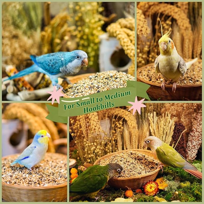 Premium Parrot Food| Protein-Rich Low-Fat Formula | Cockatiel, Conure, Lovebird, Quaker, Parrotlet | No Corn, Soy, Peanuts | Gourmet Whole Grains & Seeds | Daily Maintenance Blend (1 lb)