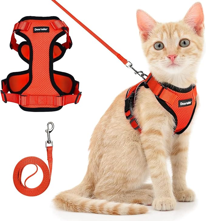 Dooradar Cat Harness and Leash Set, Escape Proof Safe Adjustable Kitten Vest Harnesses for Walking, Easy Control Soft Breathable Mesh Jacket with Reflective Strips for Cats, Reddish Orange, S
