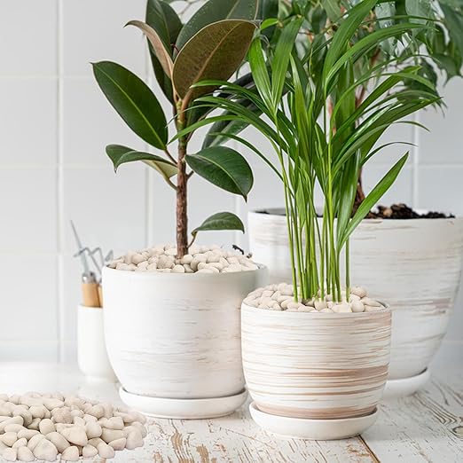 Premium 1-2 Inch White Natural River Rocks – Versatile 22 lbs River Rocks & Pebbles for Outdoor and Indoor Plants, Use for Decorative White Stones for Garden, Aquarium, Vase, Plant, Crafting