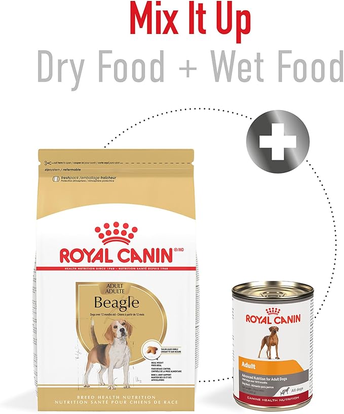 Royal Canin Beagle Adult Dry Dog Food, 30 lb bag