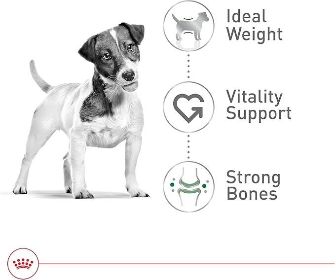 Royal Canin Size Health Nutrition Small 8+ Senior Dry Dog Food, 13 lb Bag