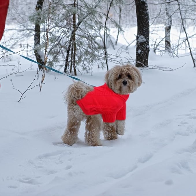 Queenmore Small Dog Pullover Sweater, Cold Weather Cable Knitwear, Classic Turtleneck Thick Warm Clothes for Chihuahua, Bulldog, Dachshund, Pug (Red, X-Small)
