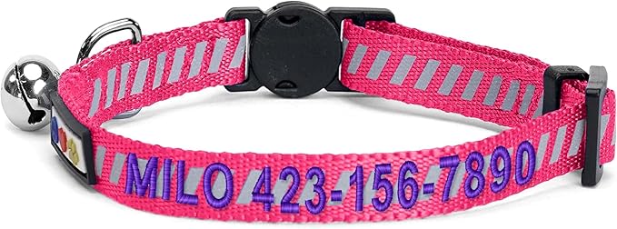Pawtitas Personalized Cat Collar with Breakaway Safety Release Buckle Adjustable Length