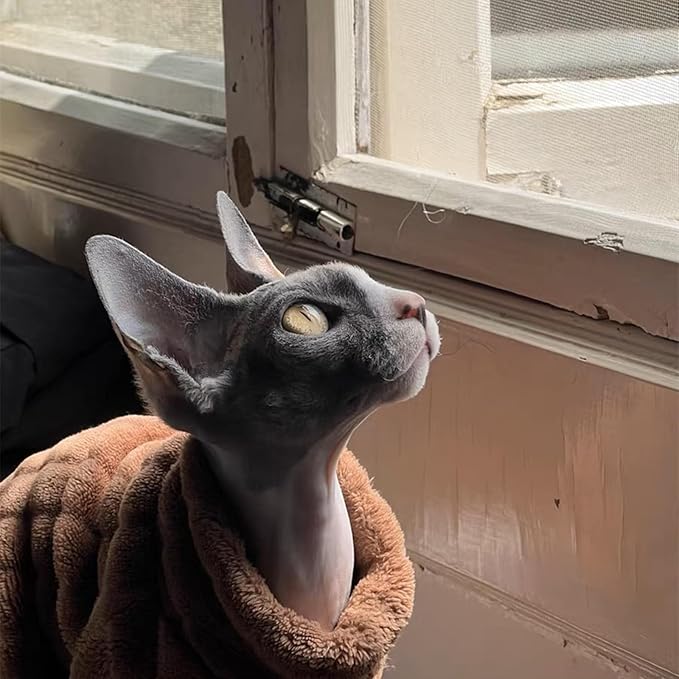 Turtleneck Sweater for Sphynx Cat Soft Coral Fleece Cat Clothes Thick Winter Warm Outfit Coat for Hairless Cats and Small Dogs Apparel with Sleeves (Brown, M (5-7 lbs))