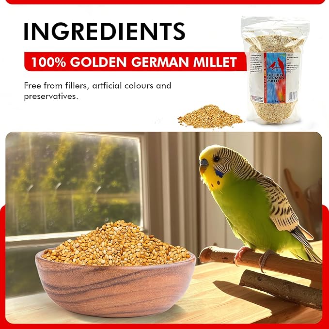 Morning Bird Golden German Millet – Bird Seed & Parakeet Food with Protein, Vitamin B & Fiber – Easy-to-Digest Millet Seed, Natural Food & Daily Nutrition Supplement for All Type of Bird 1.5 lbs