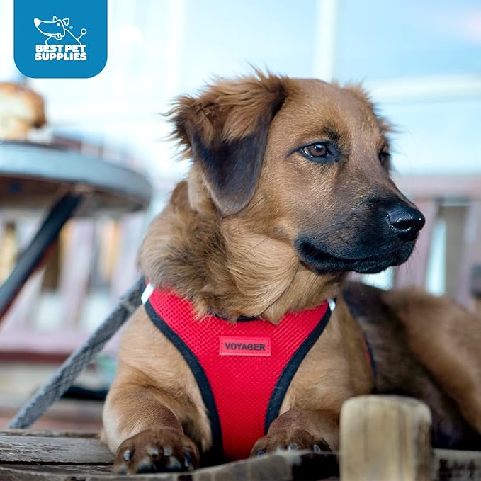 Best Pet Supplies - All Weather Mesh, Reflective, No Pull Harness for Small, Medium Dogs, Cats - Secure with Hook & Loop Fastener, Buckle, Double D-Rings - Red/Black Trim, M