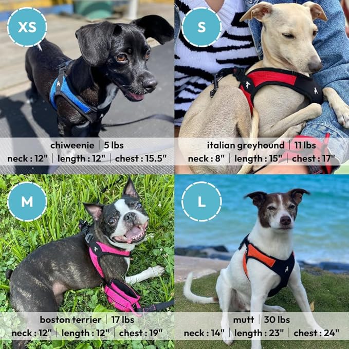 Gooby Escape Free Easy Fit Harness - Red, Large - No Pull Step-in Patented Small Dog Harness with Quick Release Buckle - Perfect On The Go No Pull Harness for Small Dogs or Medium Dog Harness