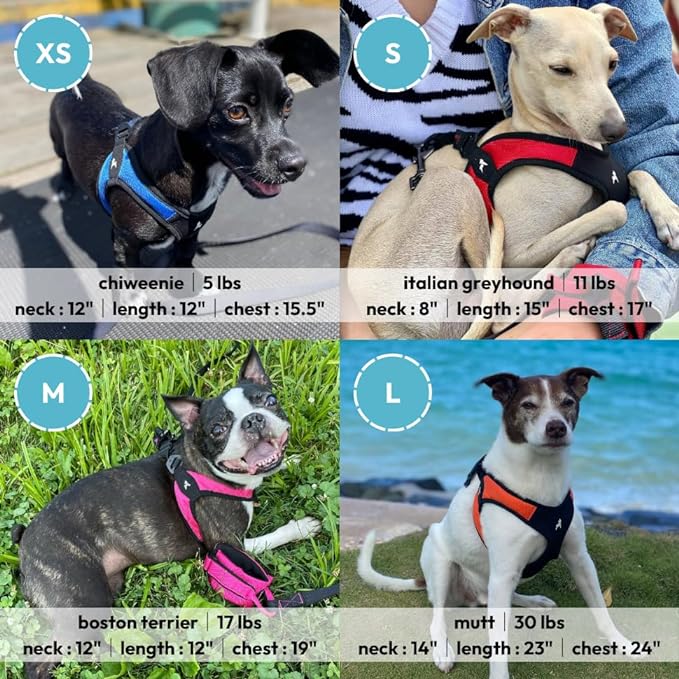 Gooby Escape Free Easy Fit Harness - Red, Medium - No Pull Step-in Patented Small Dog Harness with Quick Release Buckle - Perfect On The Go No Pull Harness for Small Dogs or Medium Dog Harness