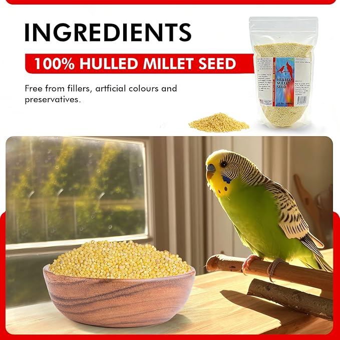 Morning Bird Hulled Millet 1.5 lb – Nutritious Hulled Millet Seed, Easily Digestible with High Fiber, Rich in Vitamins and Supplements for Birds, Ideal Bird Feed for All Bird Types.