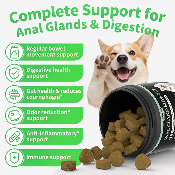 Anal Gland Support Chews for Dogs - with Pumpkin, Digestive Enzymes & Probiotics for Dog Gut Health - Scoot Treatment, Constipation, Deters Stool Eating, Odor Control - Beef Flavor, 90 Count