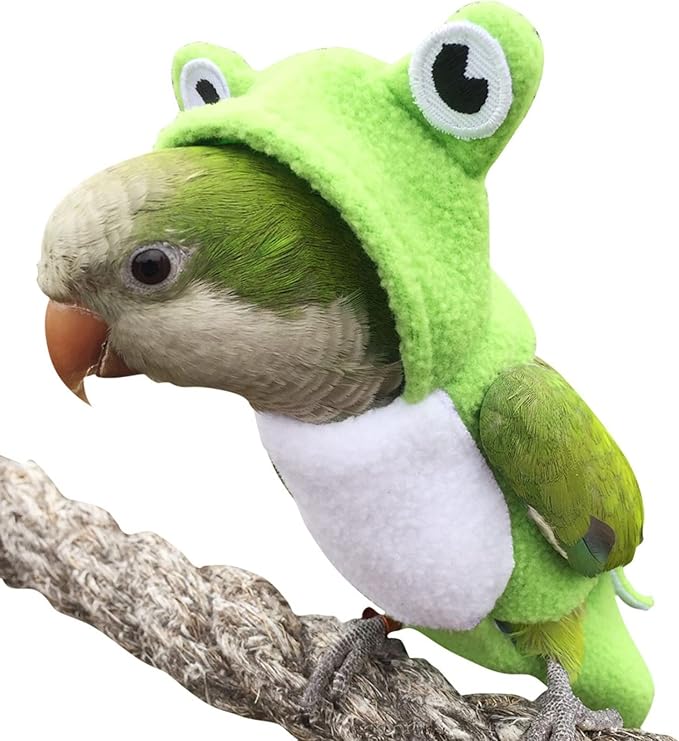 Bird Diaper Flight Suit Frog Shape Hoodie Clothes Cosplay Photo Prop for Parrots Parakeet Cockatiel Sun Conure, Small Animals Apparel (Green With Diaper, Medium)