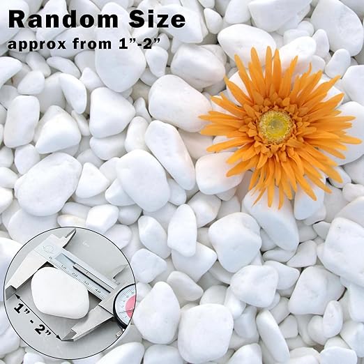17.6 Lbs Natural River Rocks for Plants 1''-2'' Large Landscaping Garden Stones White Aquarium Gravel Decorative Pebbles for Indoor Outdoor Planters, Big Terrarium Rocks in Bulk, Home Decor