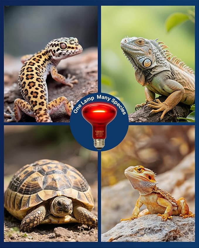 FLSNT 2 Pack Reptile Red Heat Lamp Bulbs, 75W Infrared Basking Spot Light for Turtles, Leopard Gecko, Ball Python, Bearded Dragon, Chicken