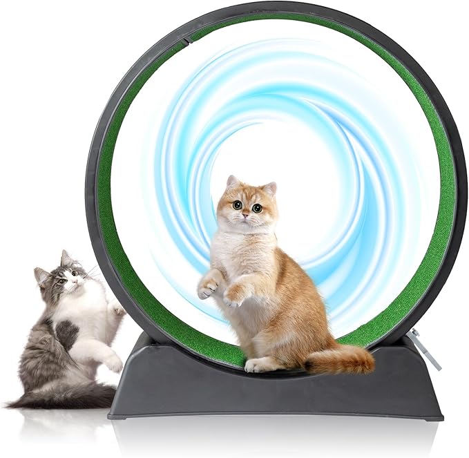 VINGLI Cat Exercise Wheel, Cat Treadmill with Carpeted Runway, 31 Inch Cats Running Wheel for Weight Loss & Daily Exercise, Black (31 Inch)