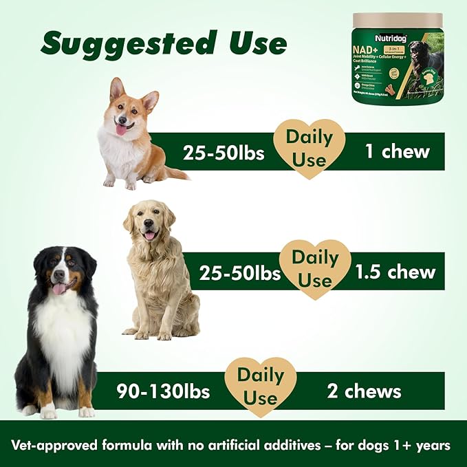 NAD Supplement for Senior Dogs - 3-in-1 Joint Supplement for Dogs, Skin & Coat Care Chews with Glucosamine, NMN, Omega-3 - Bacon Flavor, 90 Count for Arthritis & Allergy Relief (90Ct, Bacon)