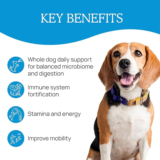 Real Mushrooms Whole Dog Health – Functional Mushroom Blend for Dogs with Lion’s Mane, Cordyceps, Turkey Tail, Reishi, Shiitake for Overall Wellbeing of Dogs – 2.65 oz Powder Supplement