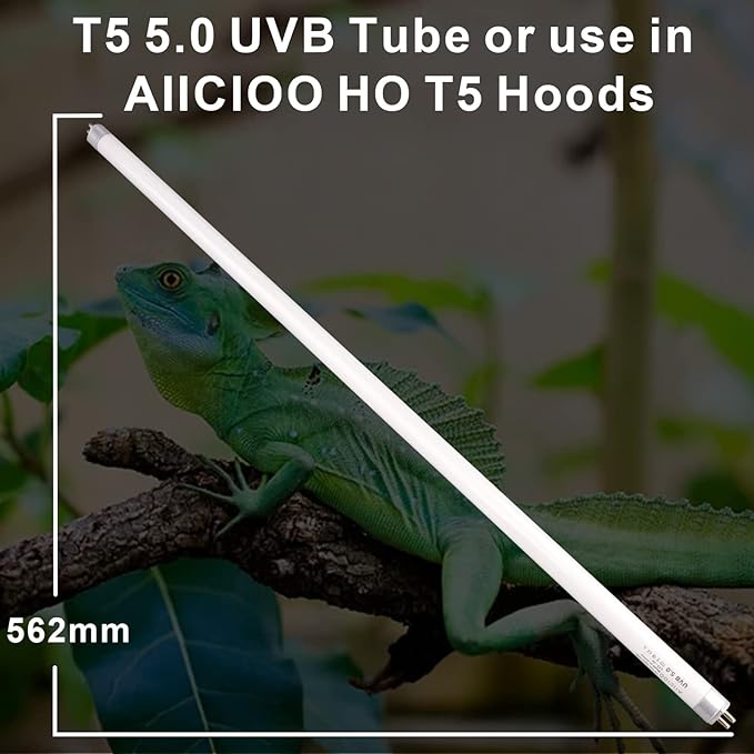 Aiicioo T5 HO Reptile UVB Light - Desert UVA UVB 5.0 Fluorescent Lamp 22" Tube Lighting High Output for Lizard Bearded Dragon Turtles Chameleon 24W 2Pack