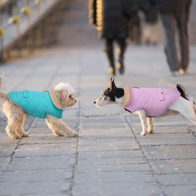 Dog Winter Coat for Small Dogs, Puppy Solid Jacket, Pet Warm Coat for Cold Weather, Windproof Pets Thickened Outfits Garments Indoor Outdoor, Lilac XS
