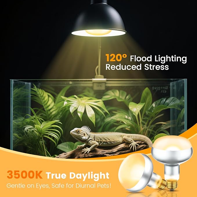 Dual Reptile Lamp Fixture with 100W Daytime Heat & 100W Nighttime Infrared Heat Bulbs, 2 Independent Switches, Reptile Heat Lamp Combo Pack - No UVB