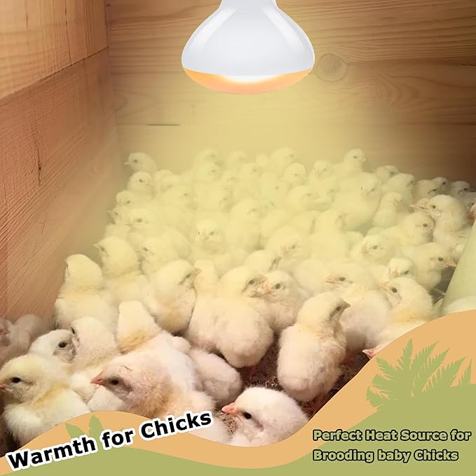 75W Reptile Heat Lamp Bulbs, 2.5 Inch UVA Amphibian Basking Spot Light for Bearded Dragon, Lizard, Tortoise & Chicks – Simulated Sunlight, Daylight Bulb for Aquariums and Tanks | 2 Pack