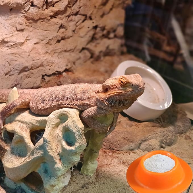 2 Pack Leopard Gecko Food Dish Gecko Calcium Dish Reptile Water Food Bowl Calcium Bowl for Bearded Dragon Lizard Turtle Gecko Jumping Spider