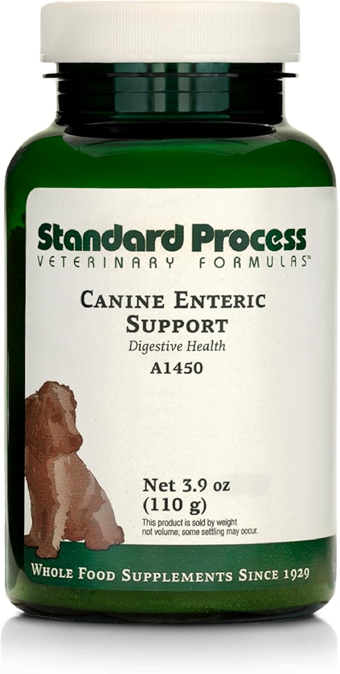 Standard Process Canine Enteric Support - Digestive System Support for Dogs - Nutritional Dog Supplement for Gut Health - Canine Supplement Formula to Aid Healthy Digestion - 110 g