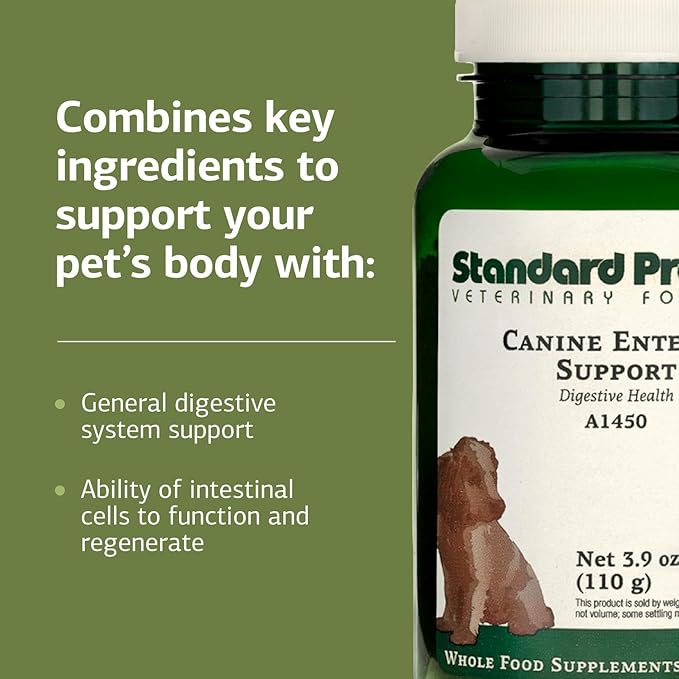 Standard Process Canine Enteric Support - Digestive System Support for Dogs - Nutritional Dog Supplement for Gut Health - Canine Supplement Formula to Aid Healthy Digestion - 110 g