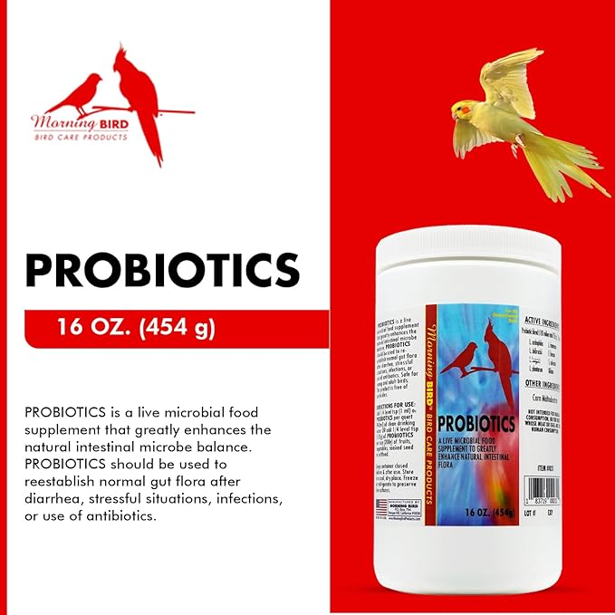 Morning Bird Probiotics for Birds 16 oz– Digestive Health Supplement with Supports Gut Balance, Nutrient Absorption & Immune Support – Easy Mix Powder Supplement for All Bird Species