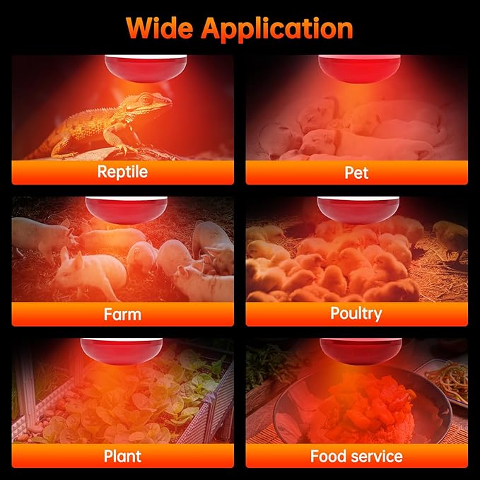 LUCKY HERP Heat Lamp for Chickens, 250 Watt Red Heat Lamp Bulbs, Infrared Heat Lamp for Chickens, Chicks, Reptile, Pets, Brooder Coop, Poultry (1 Pack)