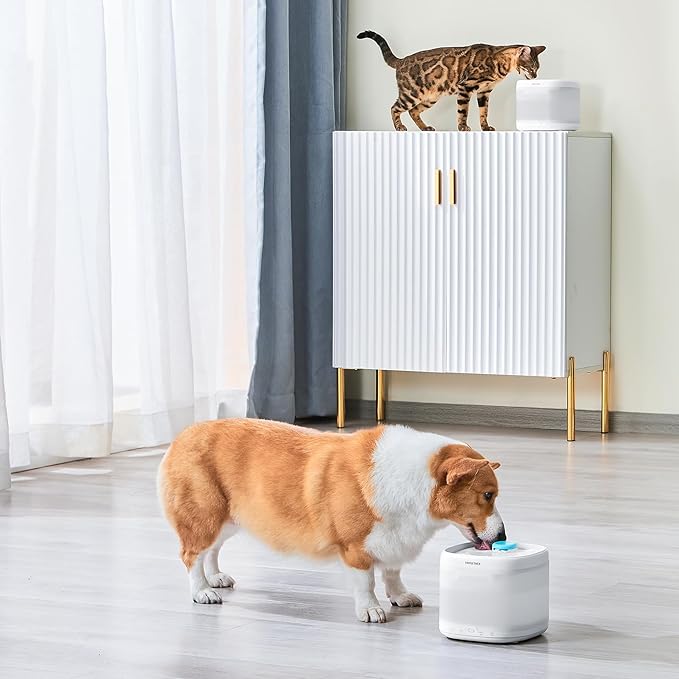 PAWGETHERยฎ 3Pcs Cat Water Fountain Filter Compatible with 67oz/2L Dog Water Fountain P3/P3s/P3SU Pet WaterFountain Replacement Filter