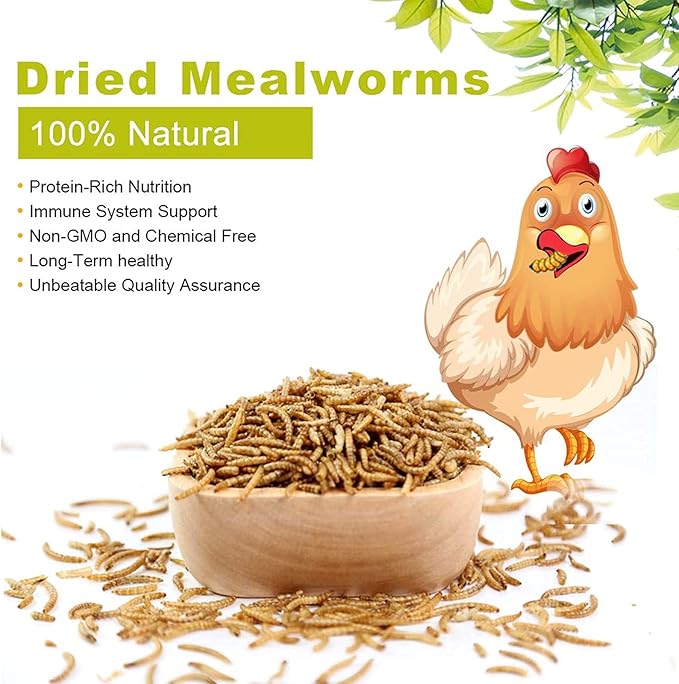 High-Protein Dried Mealworms 1Lb for Birds, Chickens, Turtles, Fish, Hamsters and Hedgehogs, Non-GMO and Chemical Free, All Natural Animal Feed