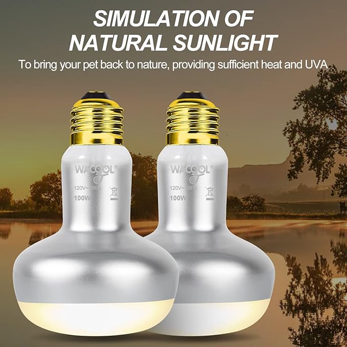 WACOOL 2 Pack 100W Reptile Heat Lamp Bulbs - Intense Basking Spot Lights for Bearded Dragons, Lizards, Turtles, Tortoises, Geckos - UVA Daylight Heat Lamp for Terrariums, Vivariums & Enclosures