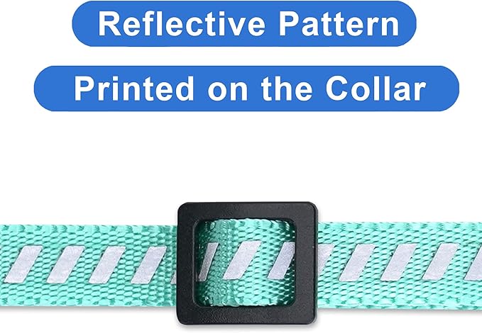 Pawtitas Personalized Cat Collar with Breakaway Safety Release Buckle Adjustable Length