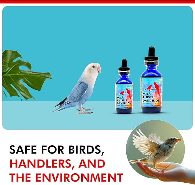 Morning Bird Milk Thistle & Dandelion Extract 2 fl oz - Organic Bird Supplement for Optimal Health – Support Liver Heath & Promotes Detox - Suitable for All Birds Species