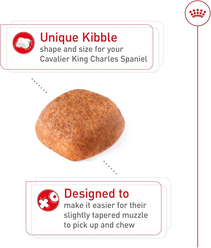 Royal Canin Cavalier King Charles Spaniel Adult Breed Specific Dry Dog Food, 10 lb bag