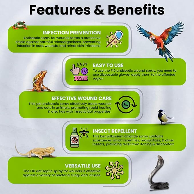 F10 Antiseptic Barrier Ointment for Reptiles, Birds, Small Animals & Exotic Animals, Natural Wound Healing Ointment for Pet, Relieves Pain & Prevents Infection - 500g