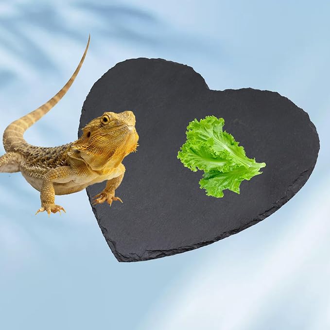 Reptile Basking Platform, 7.9 × 7.9 inch Tortoise Rock Plate, Heart Shape Natural Rock Reptile Food Dish, Turtle Feeding Bowl, Habitat Decor for Bearded Dragon Chameleon Frog Lizard Gecko Hermit Crab