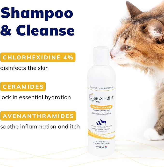 CeraSootheยฎ CHX Antiseptic Shampoo 16oz