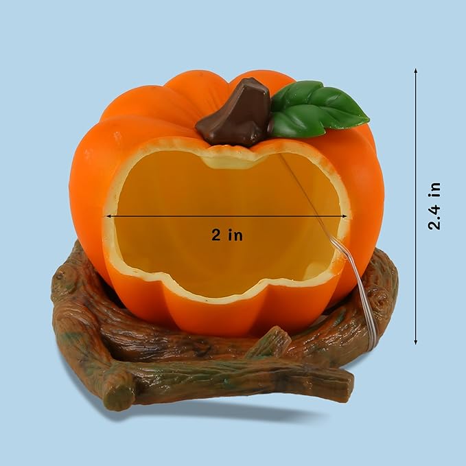 Bird Feeder Bowl for Small Size Birds Budgies Cockatiels Lovebirds Canaries