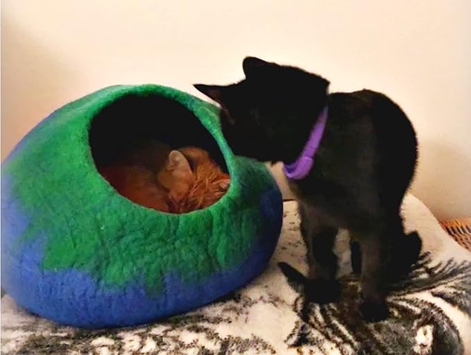 Woolygon Premium Felt Cat Cave Bed โ Wool Kitty Beds Handcrafted Kitten Caves Bed for Indoor Cats - Made from 100% Eco-Friendly Merino Wool, Foldable Cat Hidewawy Covered Cat Houses (Emerald Indigo)