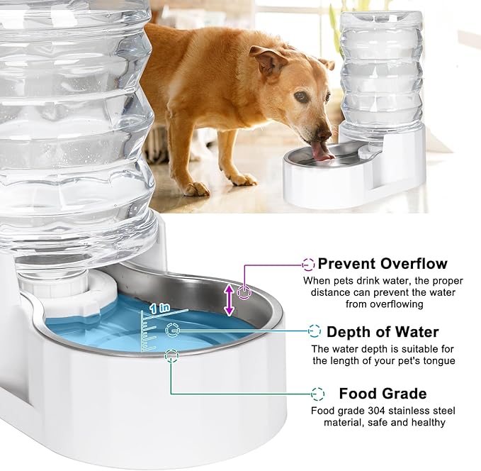 RIZZARI Automatic Dog Water Bowl Dispenser: 6L Upgraded Gravity Stainless Steel Cat Water Dispenser, Water Feeder with Two Caps and Filters for Pets Indoor/Outdoor Use by Owners