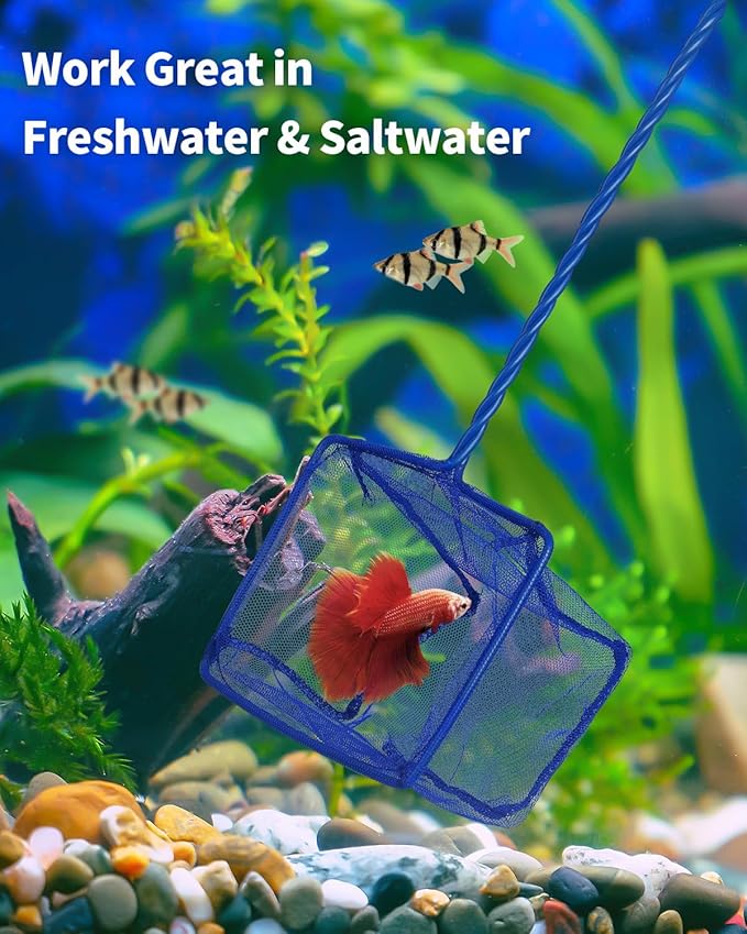 Pawfly Fish Net for Fish Tank, Fish Tank Net, Aquarium Net with Braided Metal Handle and Nylon Mesh, Small Fish Net Minnow Net for Pond Freshwater and Saltwater, 5" x 3.5"