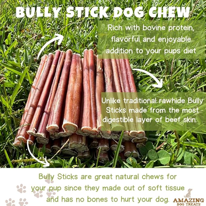 Amazing Dog Treats - 6 Inch Medium Size Bully Sticks (10 Count) - Bulk Bully Sticks for Dogs - No Hide Bully Stick Dog Bones