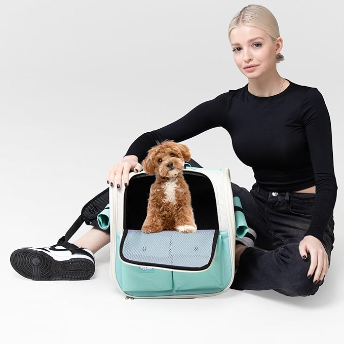 CMP – Pet Backpack Carrier for Small Dogs, Cats, Kittens, Rabbits – Airline Approved Travel Bag with Breathable Mesh and Padded Straps – Soft-Sided Cat Carrier Backpack for Hiking, Camping, Trips
