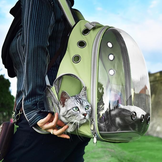 Cat Backpack Carrier Bubble Expandable Foldable Breathable Pet Carrier Dog Carrier Backpack for Large Big Cats Hiking, Travelling, Camping (Back Expandable-LightGreen)